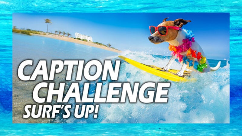 Caption Challenge Surf's Up
